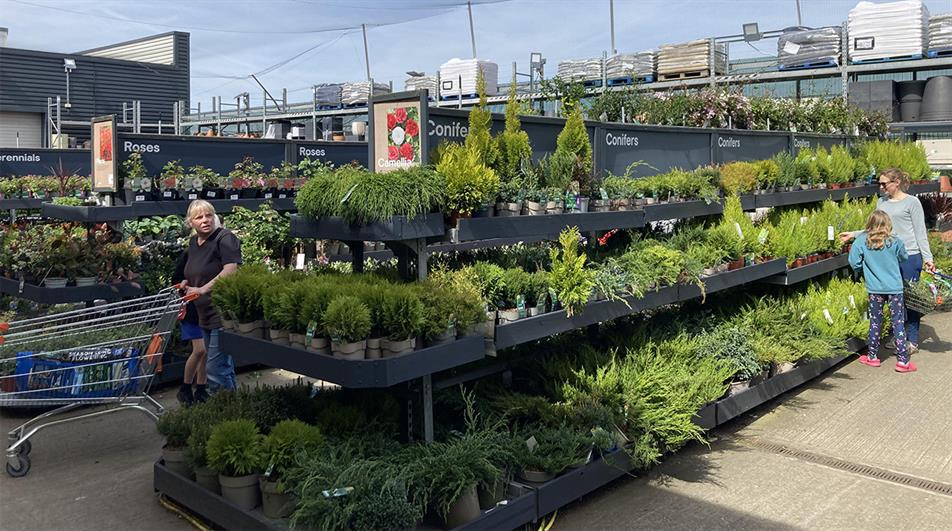 B&Q